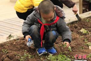 贵州加强中小学安全风险防控体系建设