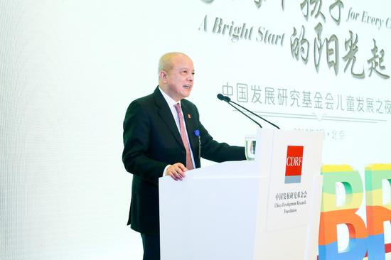 中国发展研究基金会副理事长兼秘书长卢迈