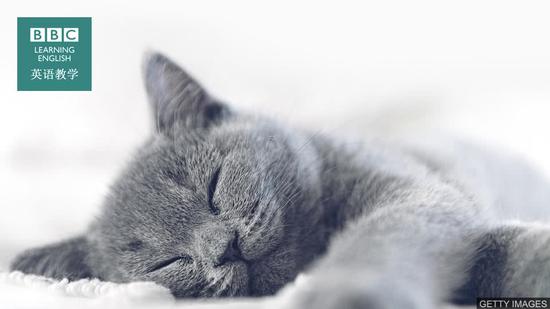 BBC英语小测验:和睡眠有关的英语词组