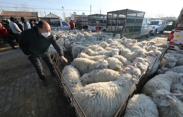 宁夏乡村集市，烟火气十足