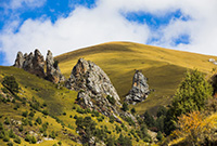 则岔石林美如画