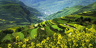 阶梯式草原你见过吗 阶梯式草原你见过吗