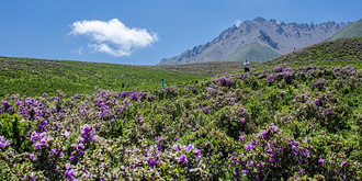 拉脊山繁花似锦 拉脊山繁花似锦