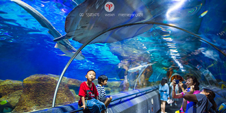 潜入蔚蓝深海世界 潜入蔚蓝深海世界