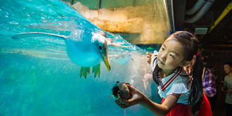 海洋亲子“心”体验