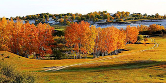 乌兰布统色彩斑斓的秋色
