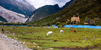 峡谷尽头的原始处女地