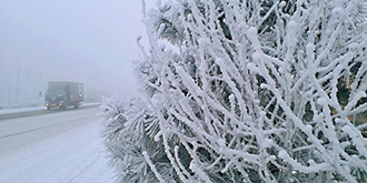 偶遇2019年北京第一场雪