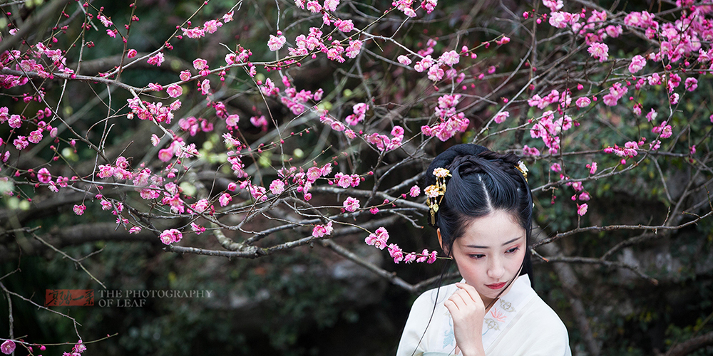  The most beautiful plum blossom in Hangzhou