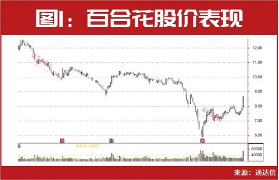 就在节前，一个新的市场逻辑出现了！