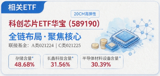 午后突发，科创芯片收复此前逾4%跌幅！千亿龙头净利增幅最高超650%