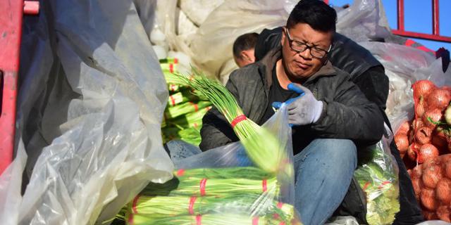 山东蒜薹拉到内蒙都卖不动