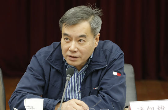 中国出版集团副总裁潘凯雄发言