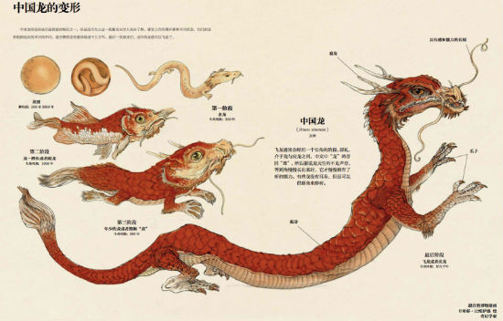 《超自然变形动物图鉴》一本正经“解剖”变形物种