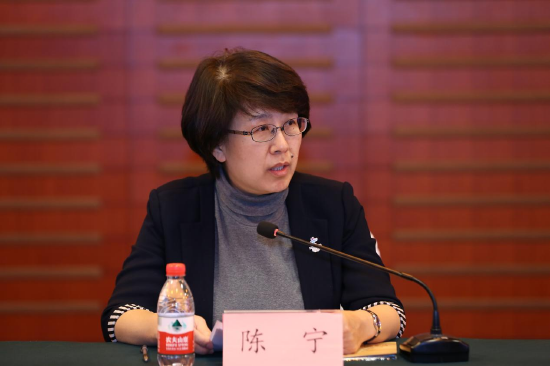 (陈宁书记总结发言照片)