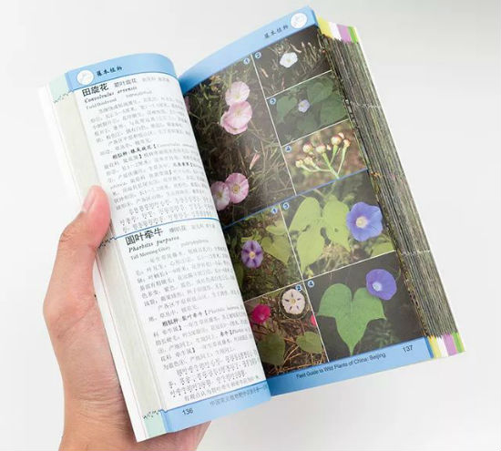 《中国常见植物野外识别手册·北京册》助你成