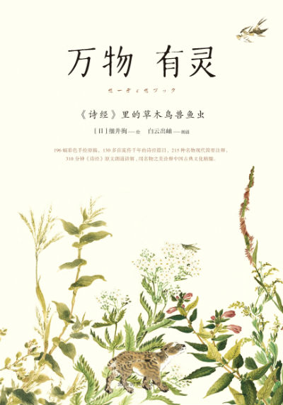 飺ʫĲľ桡ϸ 桡ʱ