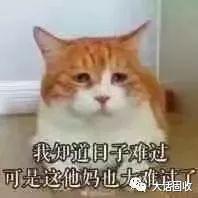 注:本文仅为小固个人意见,欢迎相互交流,排名不分先后。