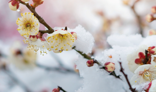 2023，华为即将熬过冬天