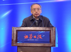 中国改革基金会国民经济研究所副所长王小鲁