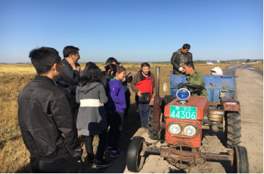 大豆种植面积增加 玉米总产量下降|玉米|大豆|总