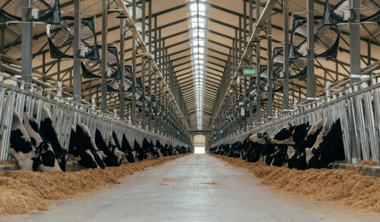 六大增长逻辑支撑 优然牧业2023及中长期业绩增长确定性高