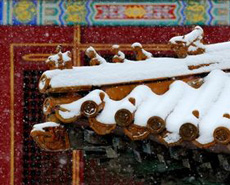 故宫雪景美得让人不敢和你说话
