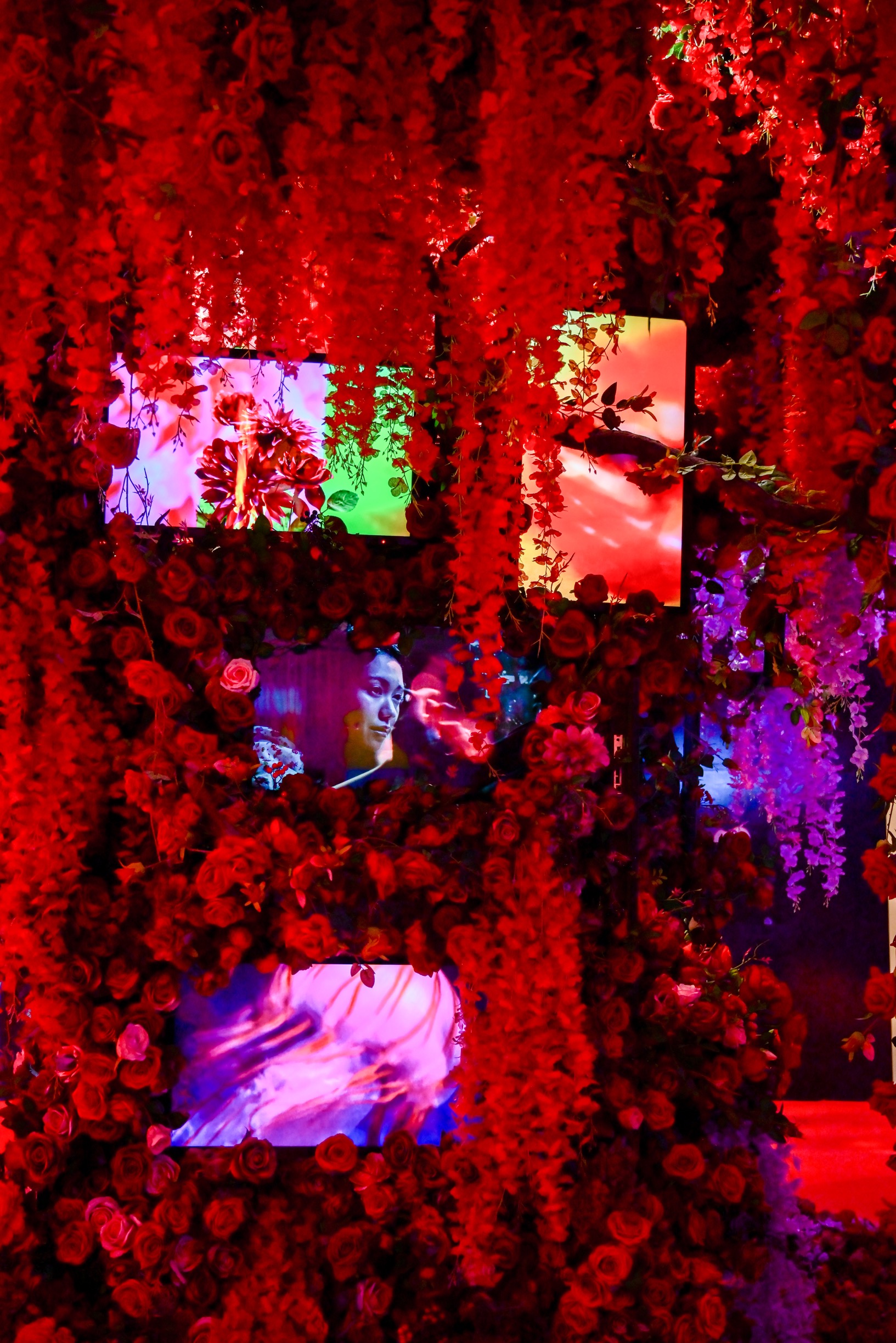 蜷川实花展现场