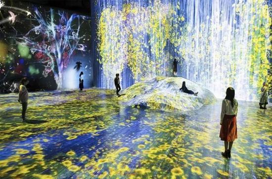 teamLab，《在人们聚集的岩石上，注入水粒子的世界》，2018