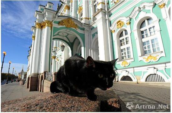 艾尔米塔什博物馆里的猫，Photo courtesy Olga Maltseva/AFP/Getty Images。