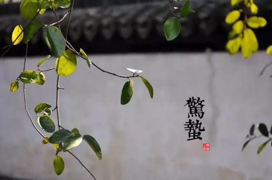 北至黑龙江,