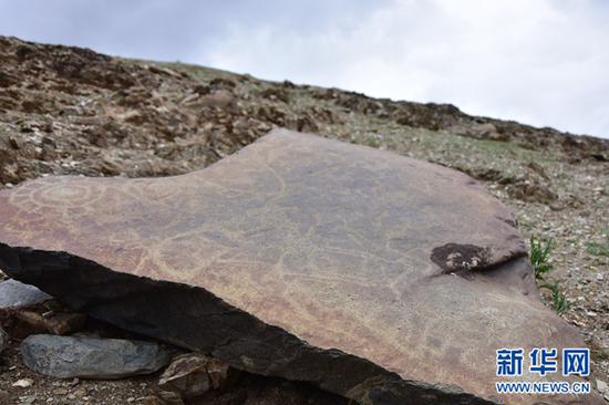 在称文镇白龙村发现的古岩画（5月29日摄）。新华社记者田文杰摄