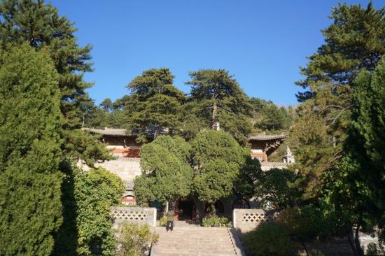 佛光寺“面对一座大院,周围有二三十棵古松环绕”