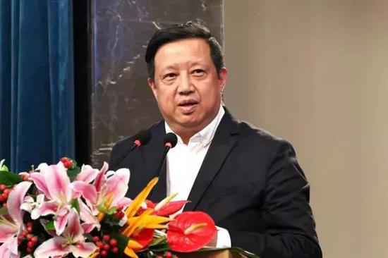 中央美术学院教授,中央美术学院艺术管理与教育学院院长,国家艺术与文化政策研究所所长余丁教授发言