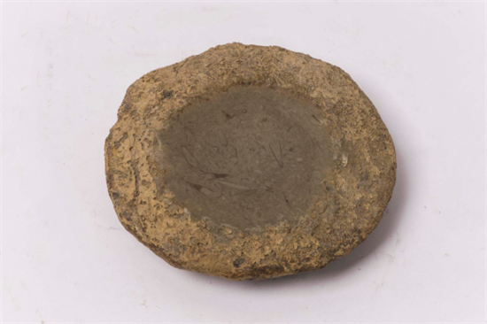 随型化石砚12.4X11.4X3.3cm