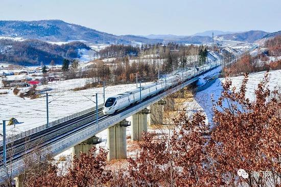 金树银雪醉歌行