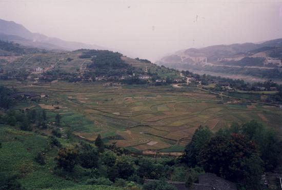 小田溪墓地全貌