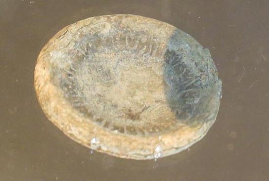 西汉铸造的“白金三品”龙币，内侧可见一圈希腊文