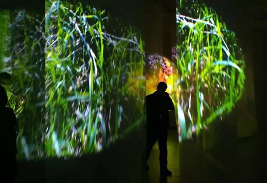 Pipilotti Rist展览“数码森林”（Pixel Forest）