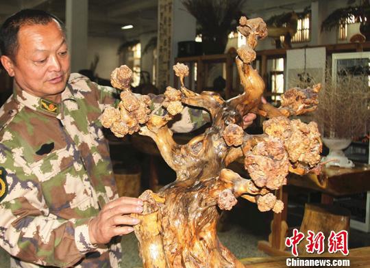 戴新展示其根雕作品《梅花》。(资料图) 李桃 摄