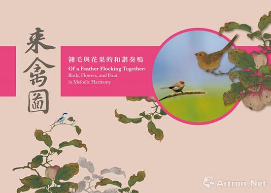 来禽图——翎毛与花果的和谐奏鸣展海报