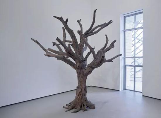 树，2010Tree树干530 x 560 x 660 cm