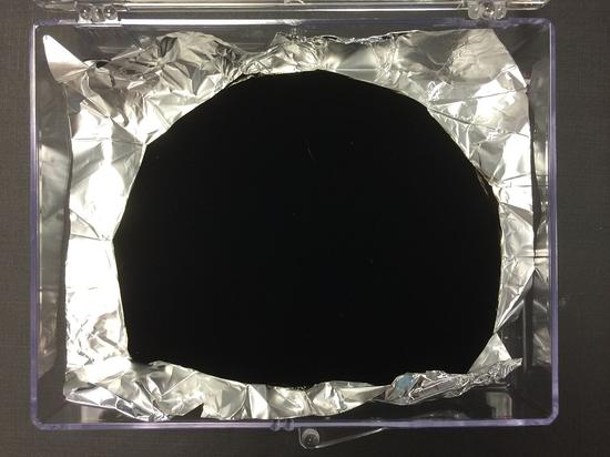 镀上Vantablack的铝箔  图源：维基百科