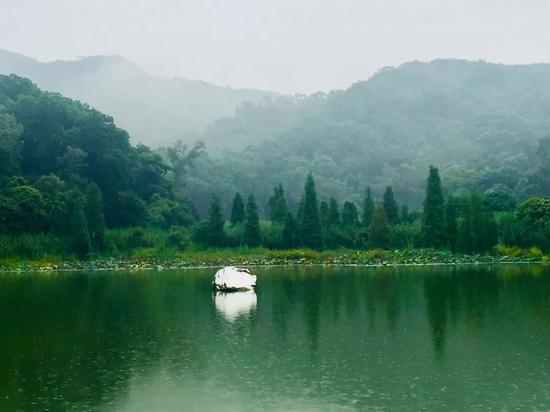 展望 《浮石》 同沙生态公园展区