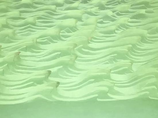 长江万顷(局部)