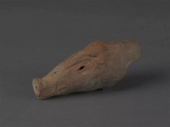 ▲红陶猪头   新石器时代中期（距今7000-6000年）