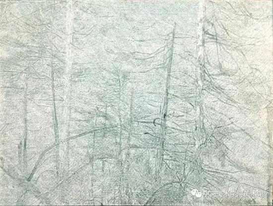 曹轶,黑森林No.3,149x198cm,纸本丙烯,2018