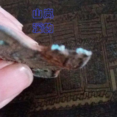 ͼƬ´ڴ򿪲鿴
