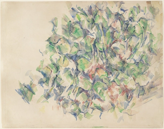 塞尚,《植物》,1895年