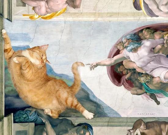 The Creation of cAt-dam